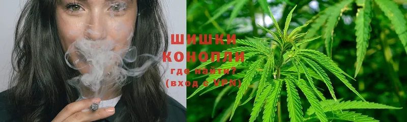 Бошки марихуана THC 21%  Краснообск 